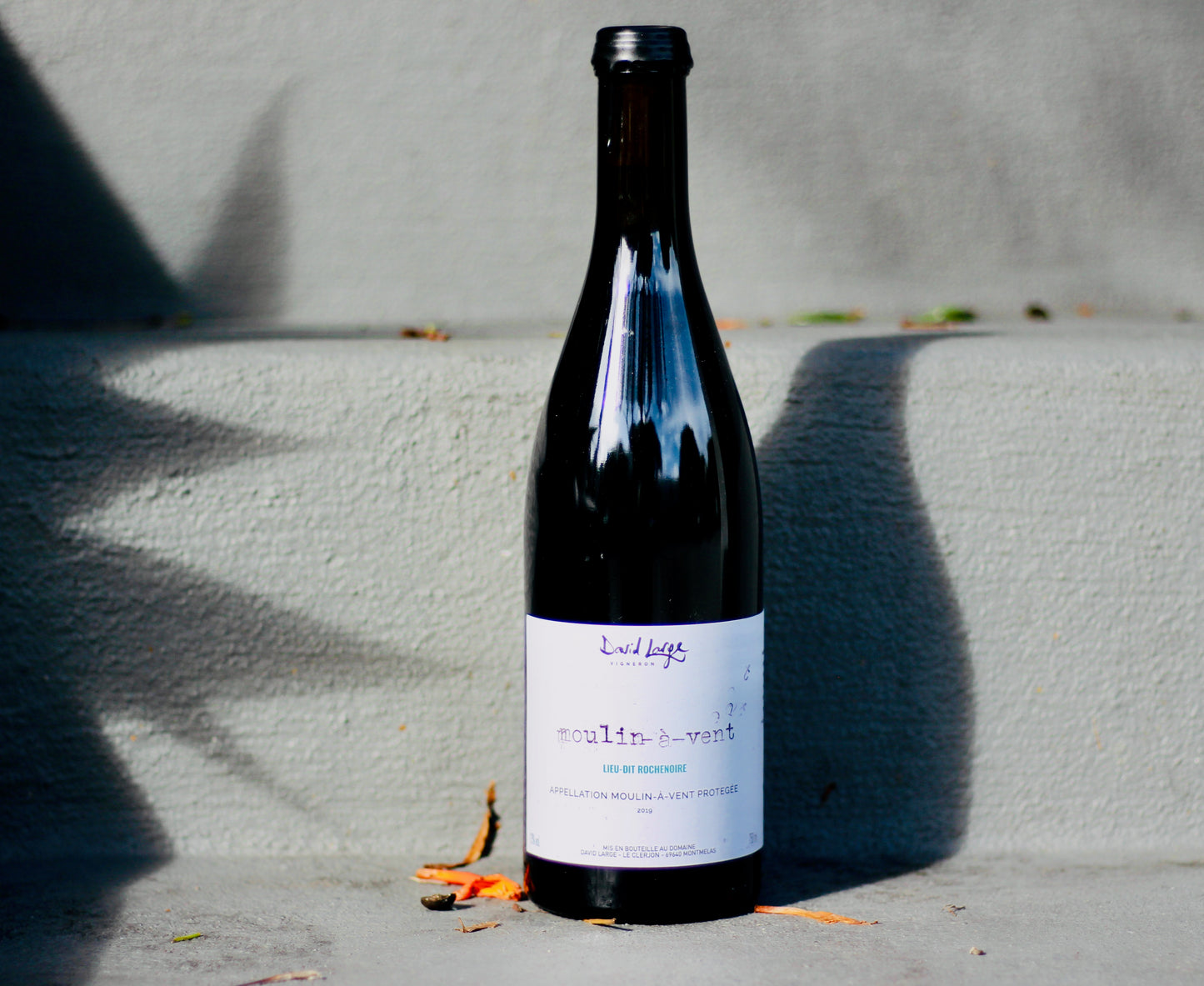 2019 David Large Moulin-à-Vent