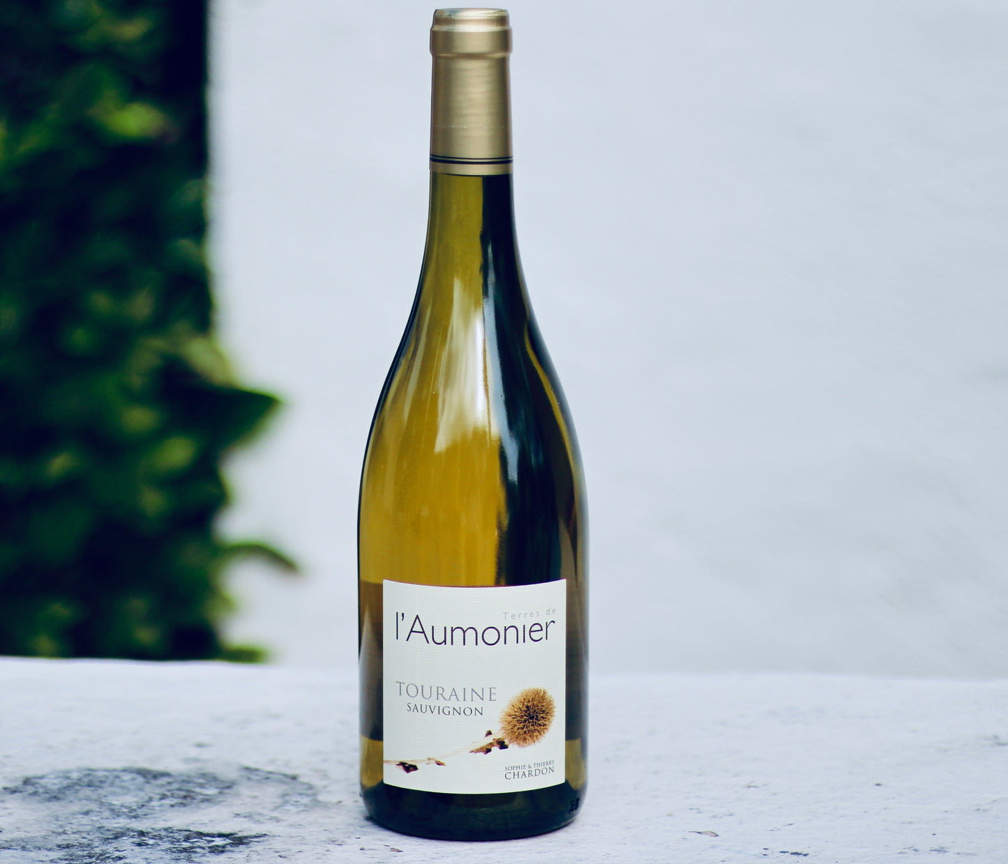 2020 l’Aumonier Touraine Sauvignon Blanc