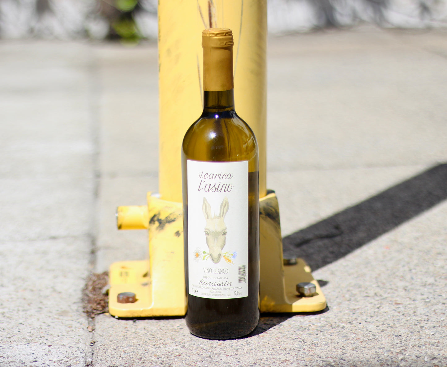 2021 Carussin Carico l'Asino Bianco