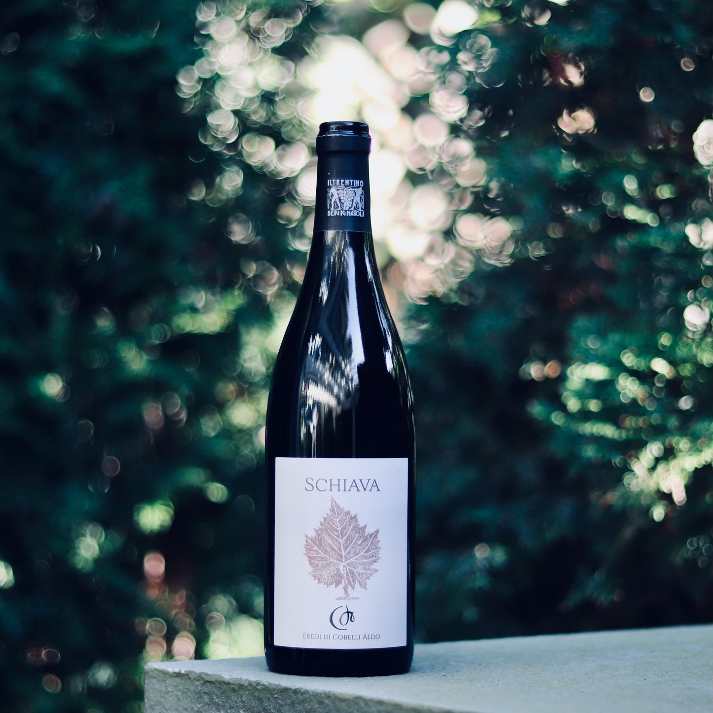 2023 Cobelli Schiava