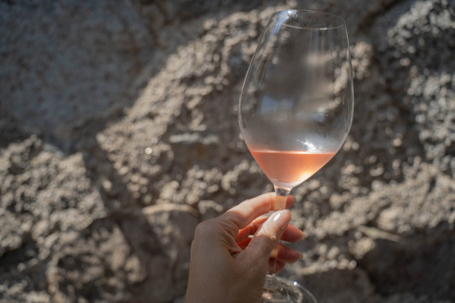 2021 Alta Alella ‘Aus' Pet-Nat