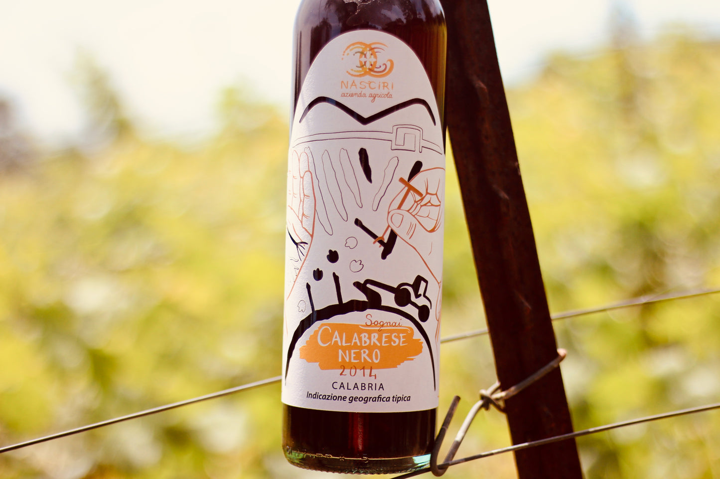 2014 Nasciri ‘Sognai’ Calabrese Nero - Rock Juice Inc