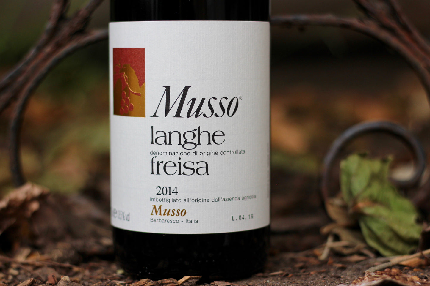 2014 Musso Langhe Freisa - Rock Juice Inc