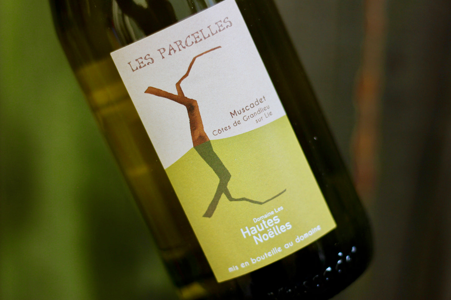 2015 Hautes Noelles Muscadet Cotes de Grandlieu Les Parcelles Sur Lie - Rock Juice Inc