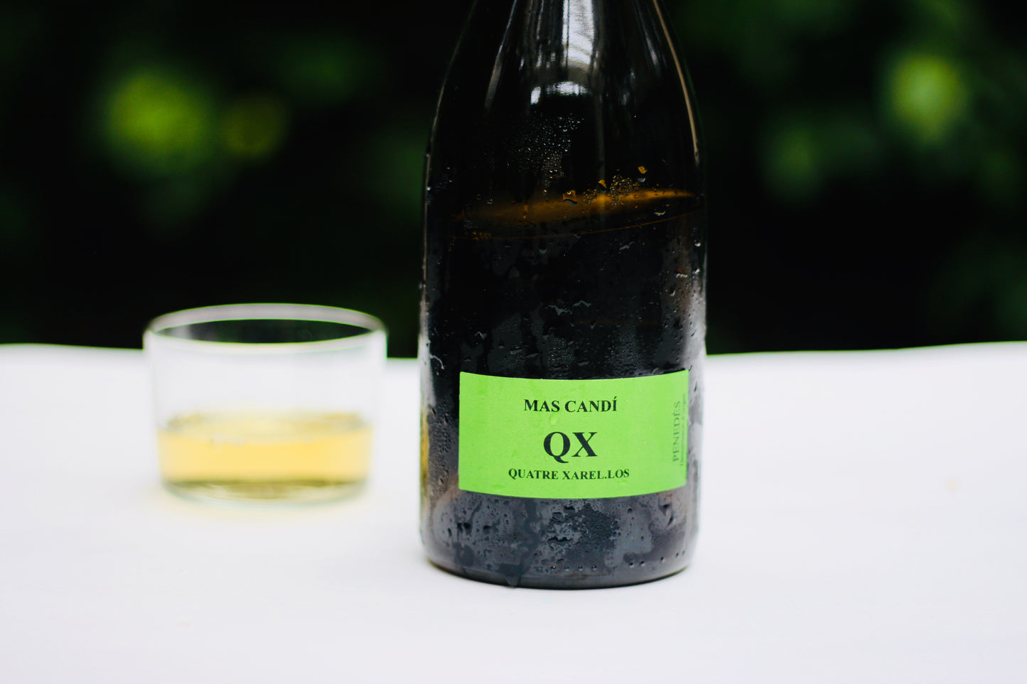 2016 Mas Candi Xarel-lo QX - Rock Juice Inc