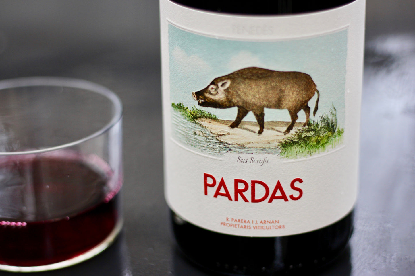 2016 Cellar Pardas ‘Sus Scrota’ Sumoll - Rock Juice Inc
