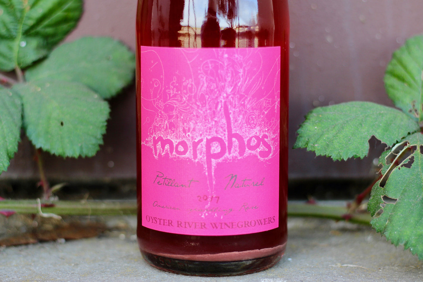 2017 Oyster River ‘Morphos’ Pétillant Naturel Rosé - Rock Juice Inc