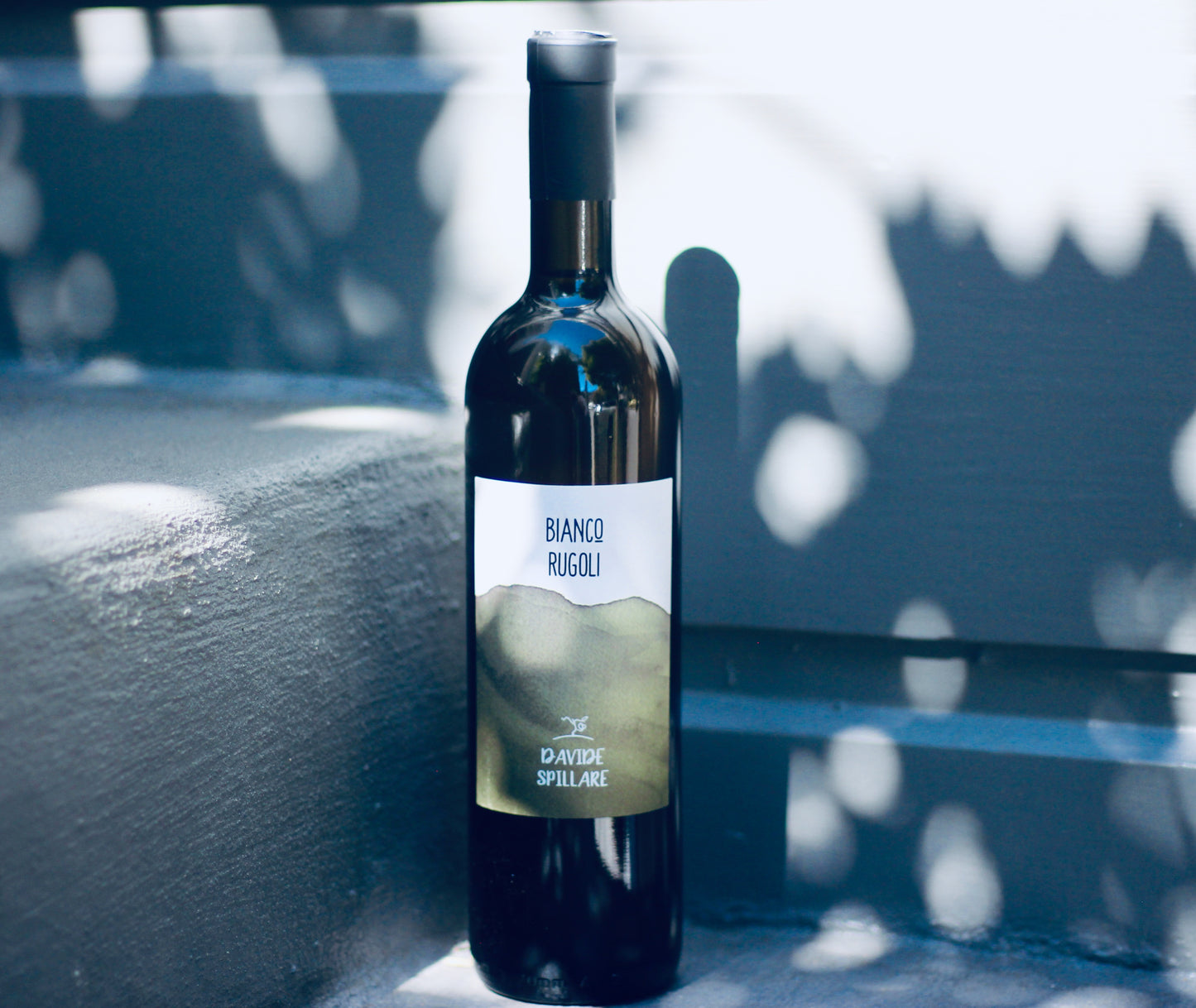 2017 Davide Spillare Rugoli Garganega