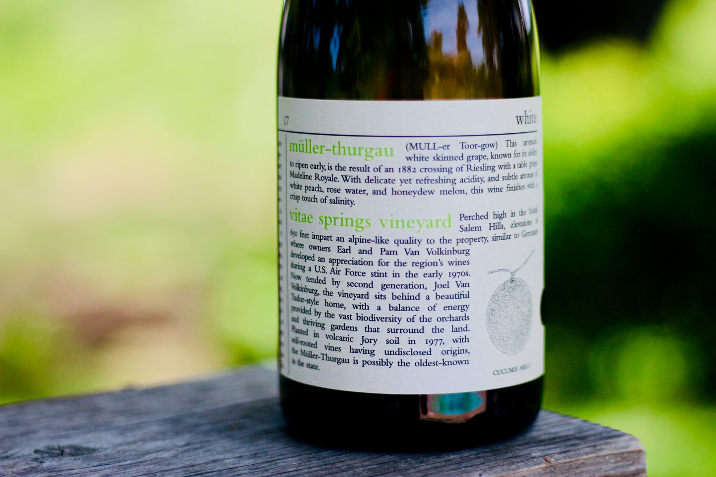 2017 Minimus Müller-Thurgau Vitae Springs Vineyard - Rock Juice Inc