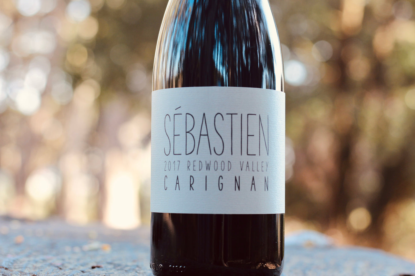 2017 Sébastien Carignan