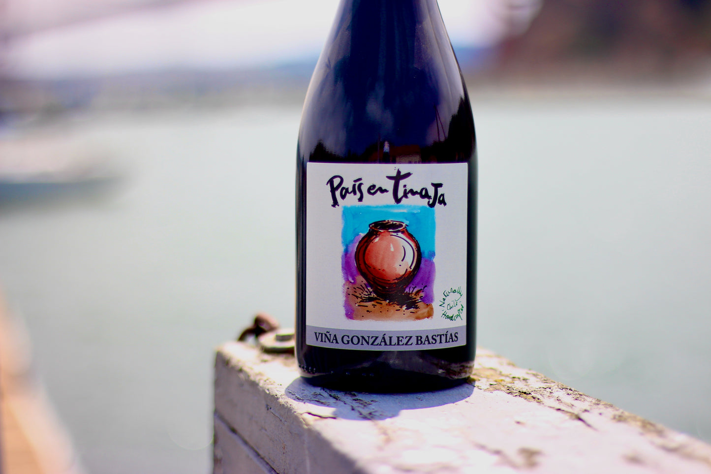 2017 Vina Gonzalez Bastias Pais en Tinaja Valle de Maule