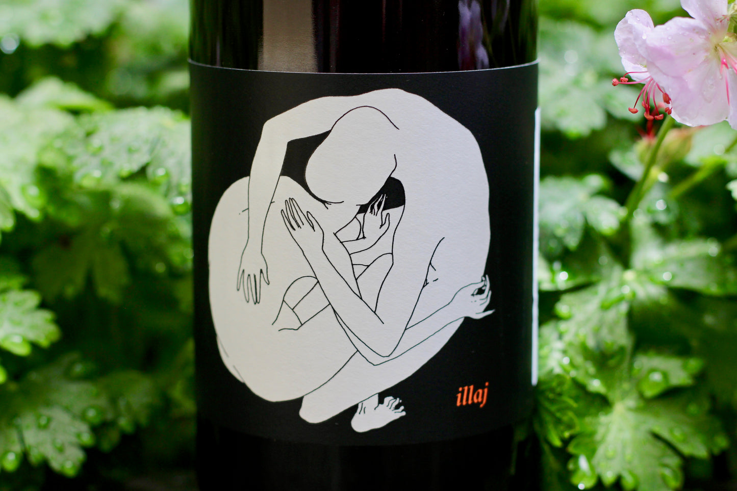 2017 Jamsheed Illaj Pinot Noir - Rock Juice Inc