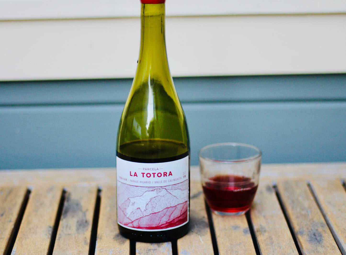 2018 Cara Sur Criolla Chica Parcela La Totora Barreal