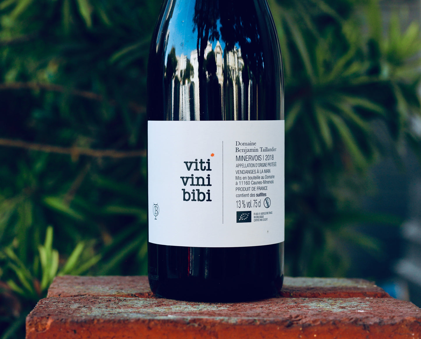 2018 Domaine Benjamin Taillandier 'Viti Vini Bibi'