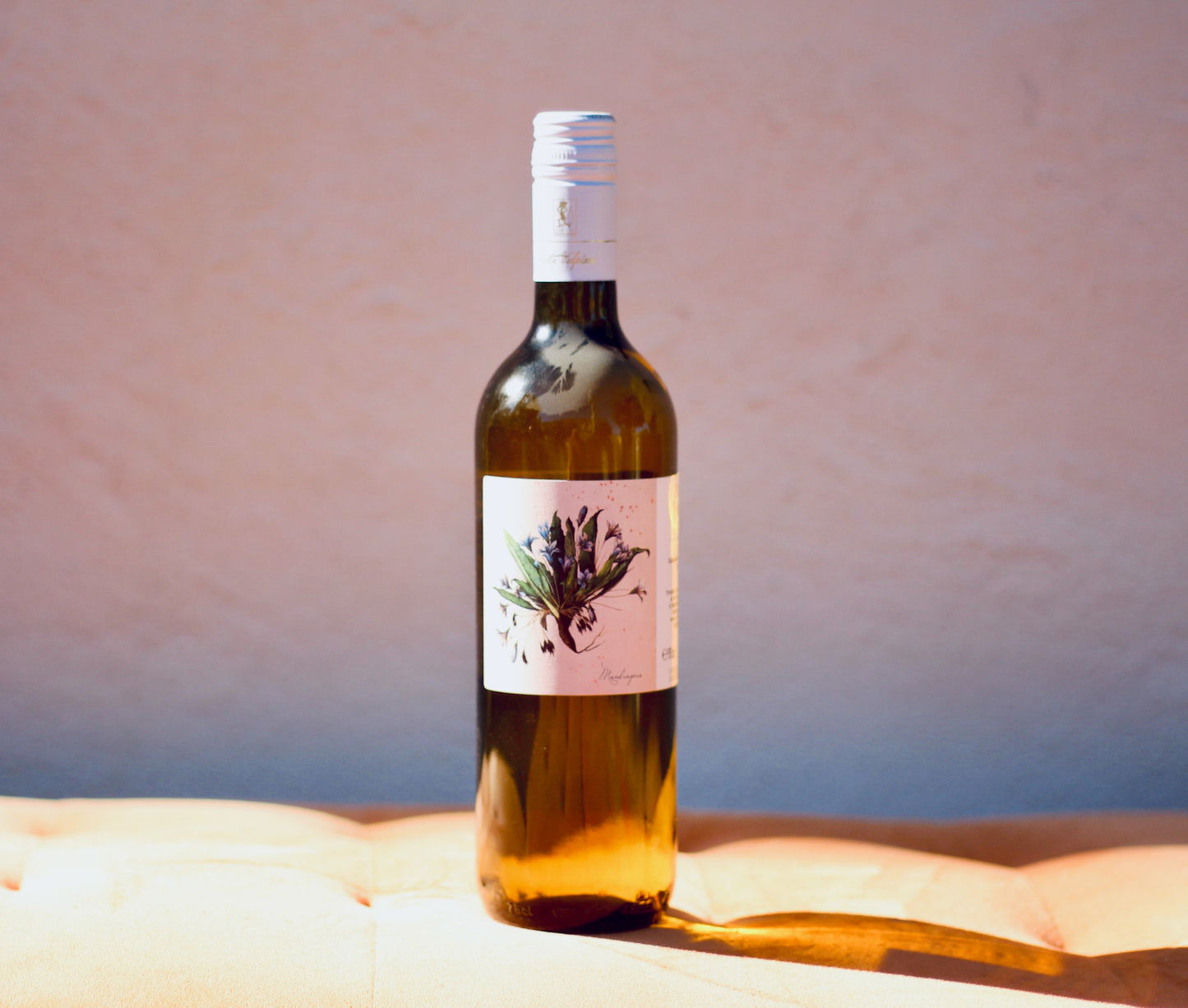 2018 Marta Valpiani Delyus Forli Bianco