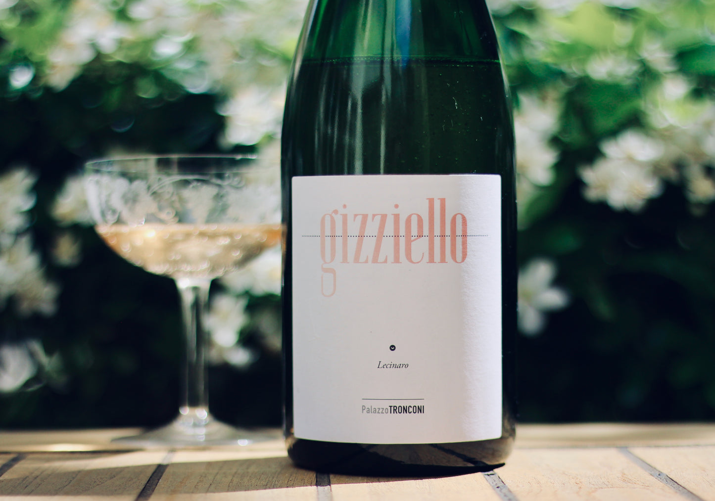 2018 Palazzo Tronconi 'Gizziello' Lecinaro Pet'Nat - Rock Juice Inc