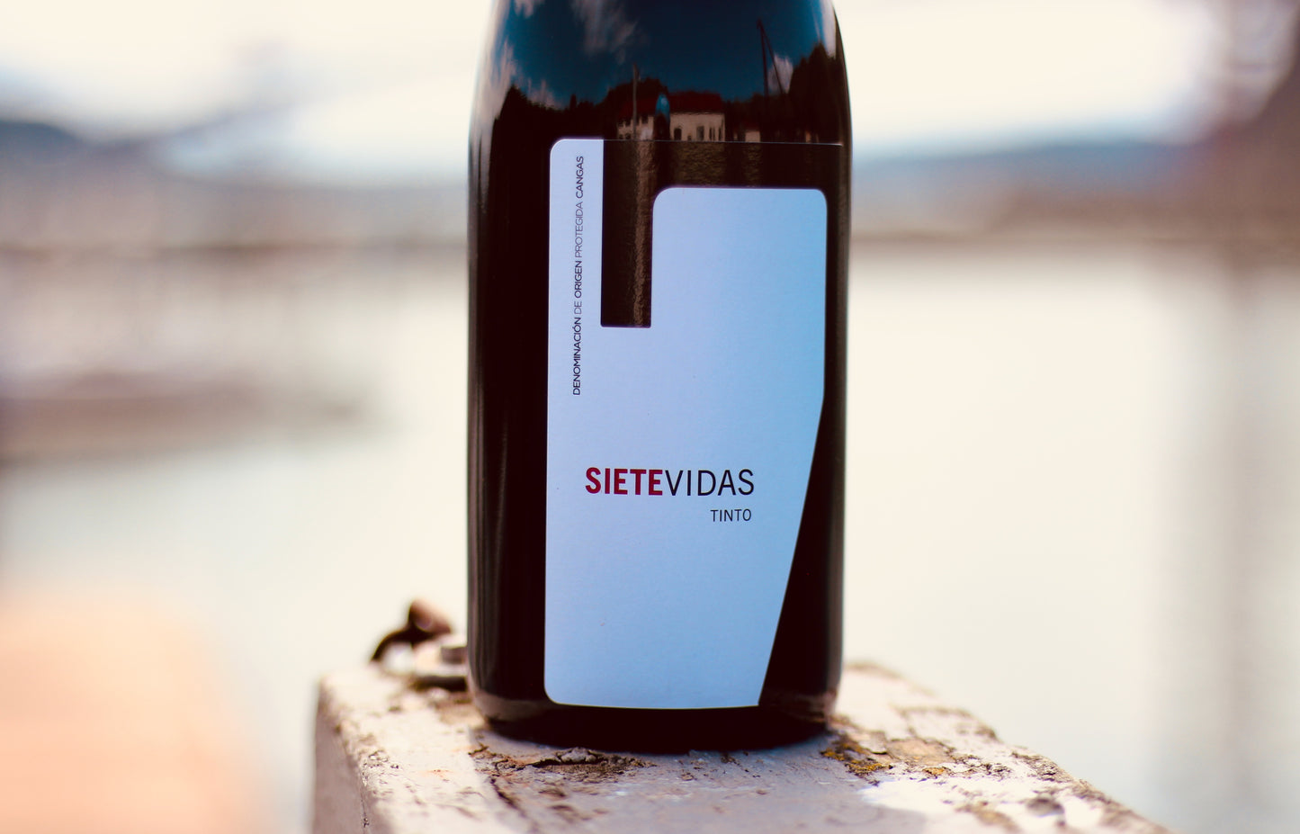 2018 Siete Vidas Tinto - Rock Juice Inc