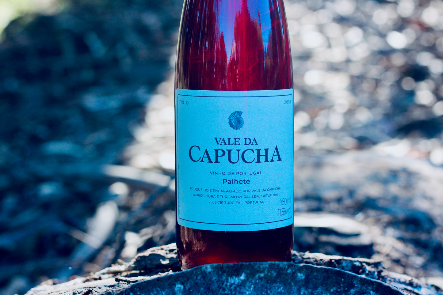 2018 Vale de Capucha Palhete Tinto