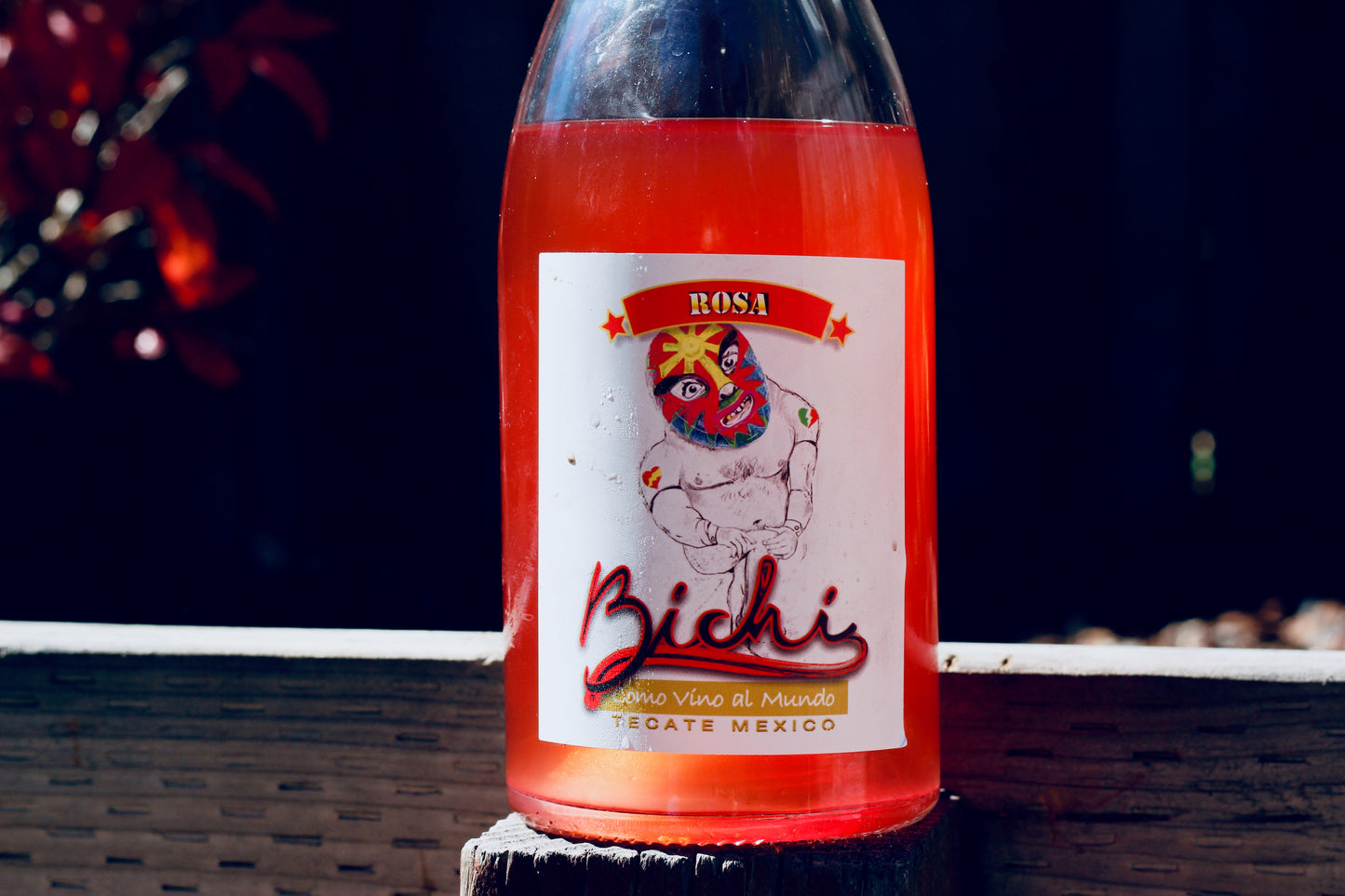 2019 Bichi Rosa