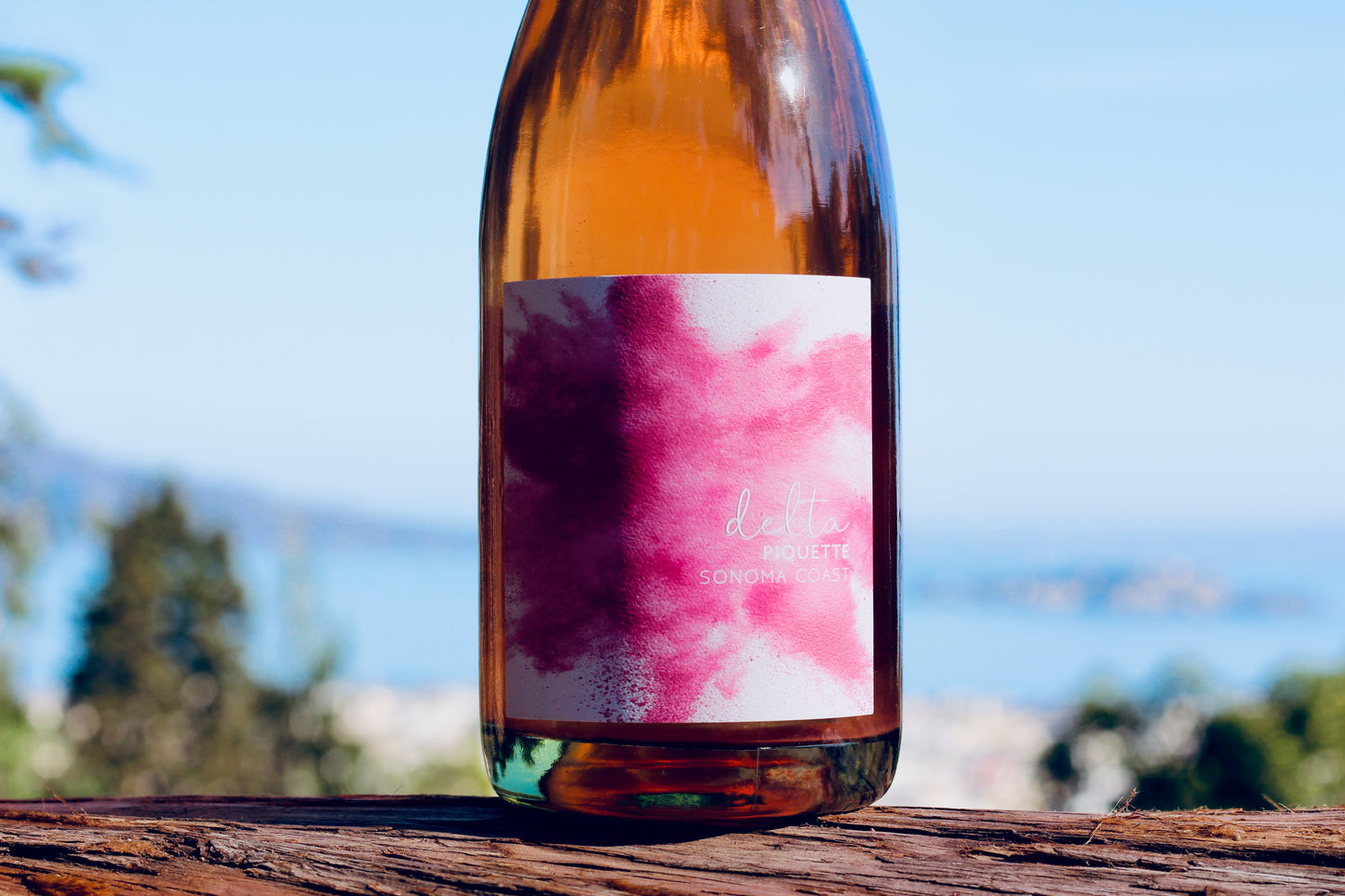 2019 Delta Piquette Pet'Nat