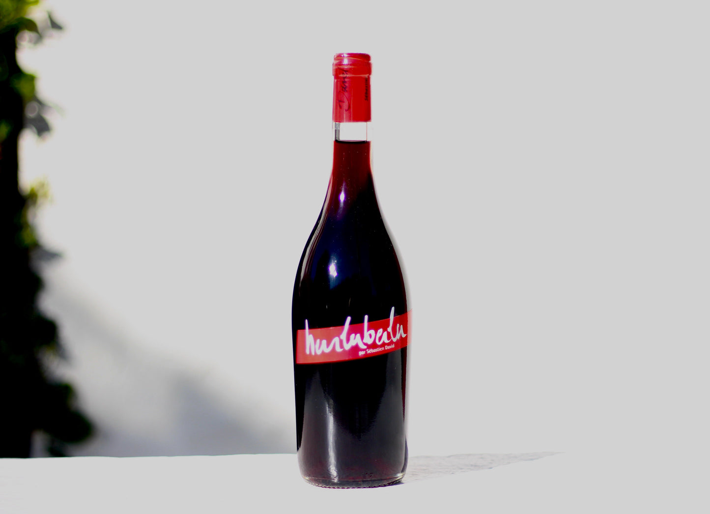 2023 Sebastien David ‘L’Hurluburlu’