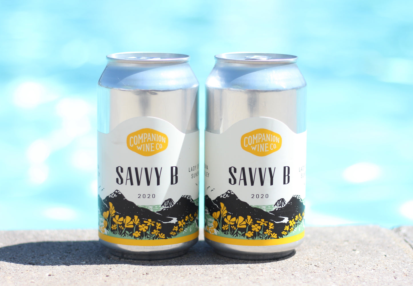 2020 Companion ‘Savvy B’ CANS 375ml 2pk