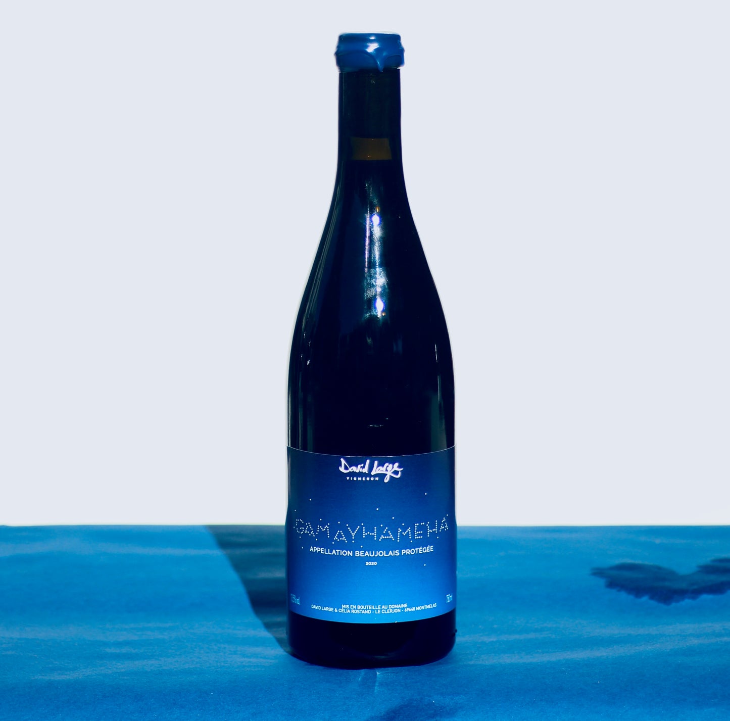 2020 David Large Gamayhameha