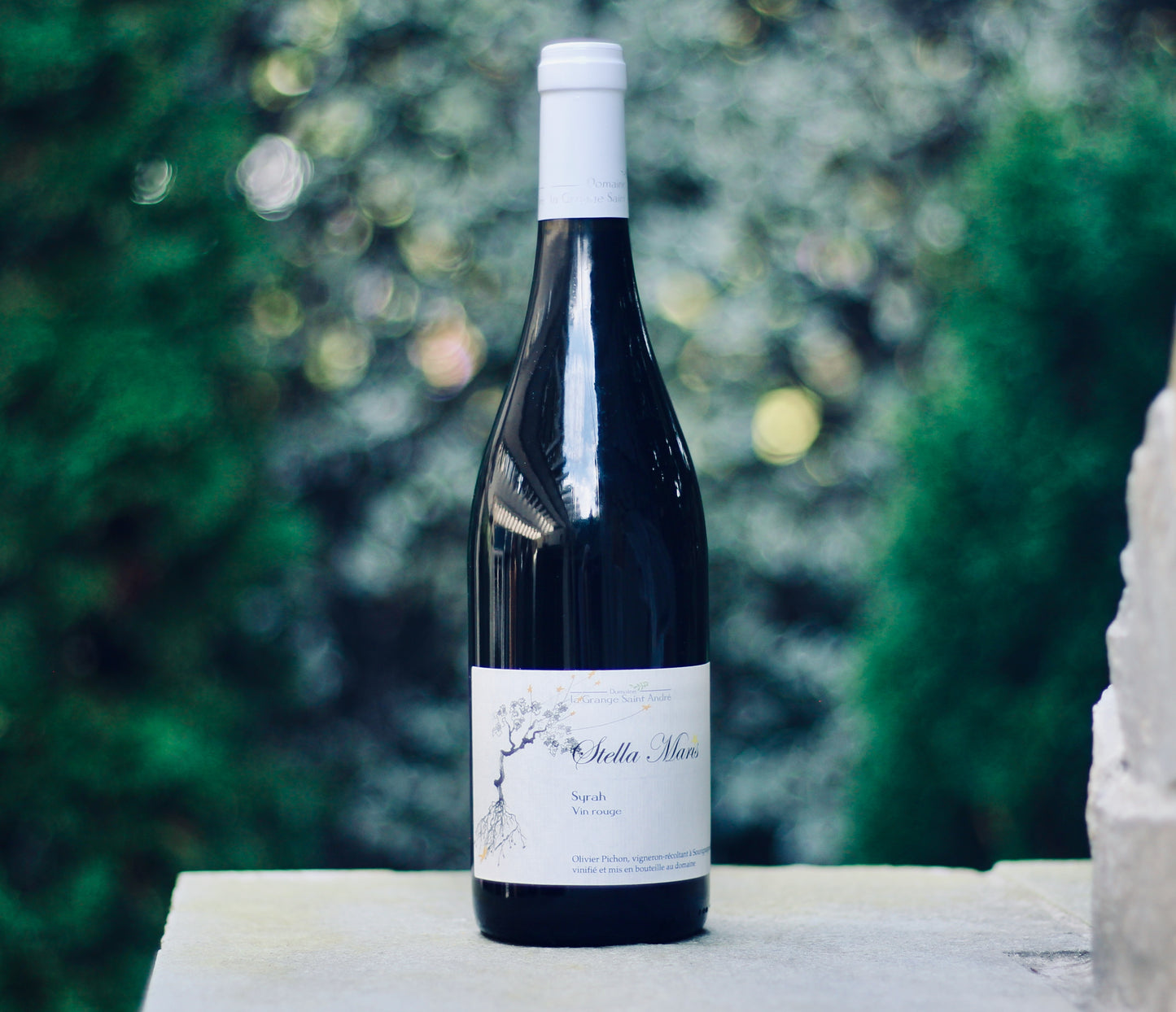 2020 Domaine la Grange St. Andre Stella Maris Syrah