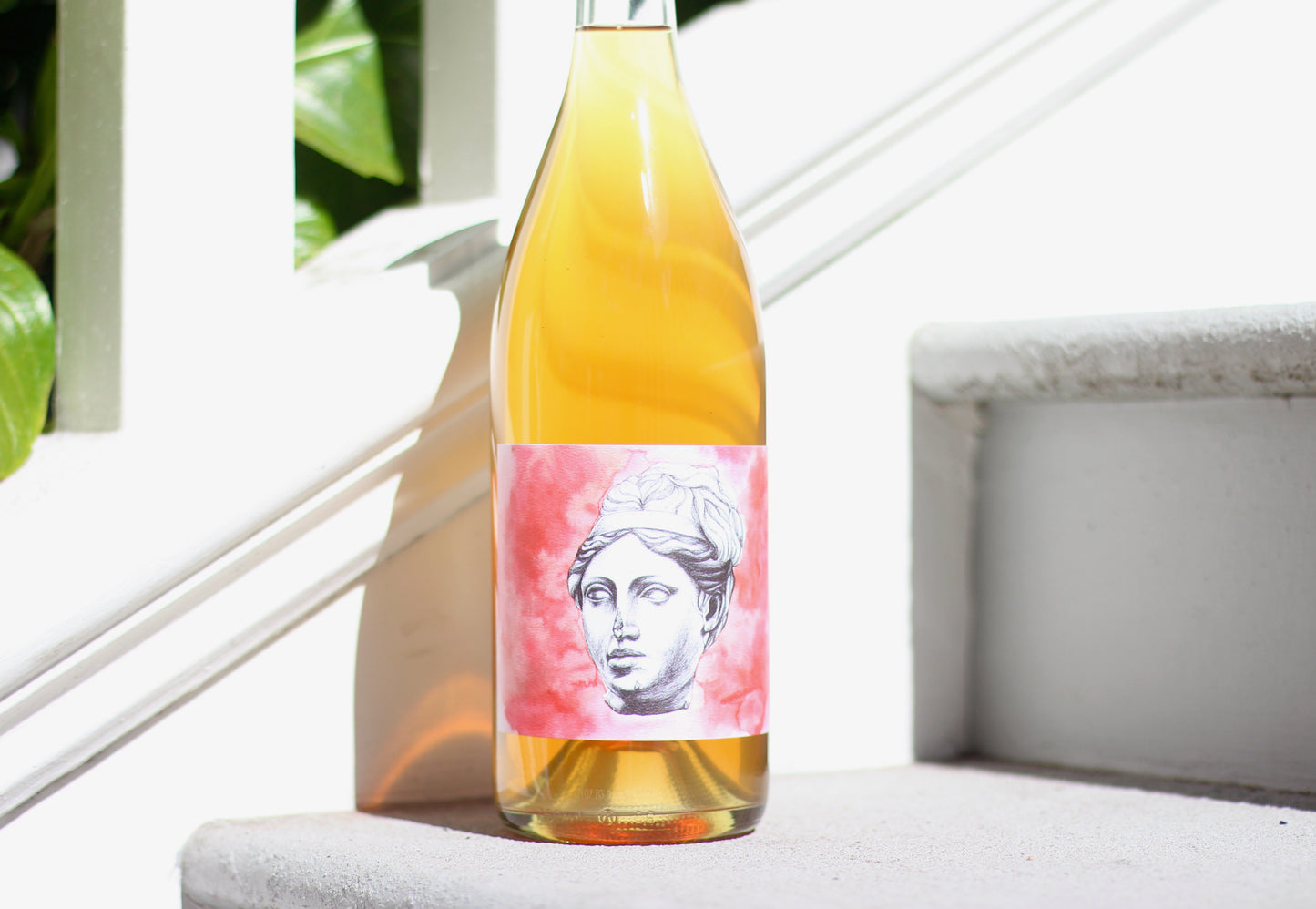 2020 End of Nowhere Verdelho Vista Luna Vineyard 'Little Faith'