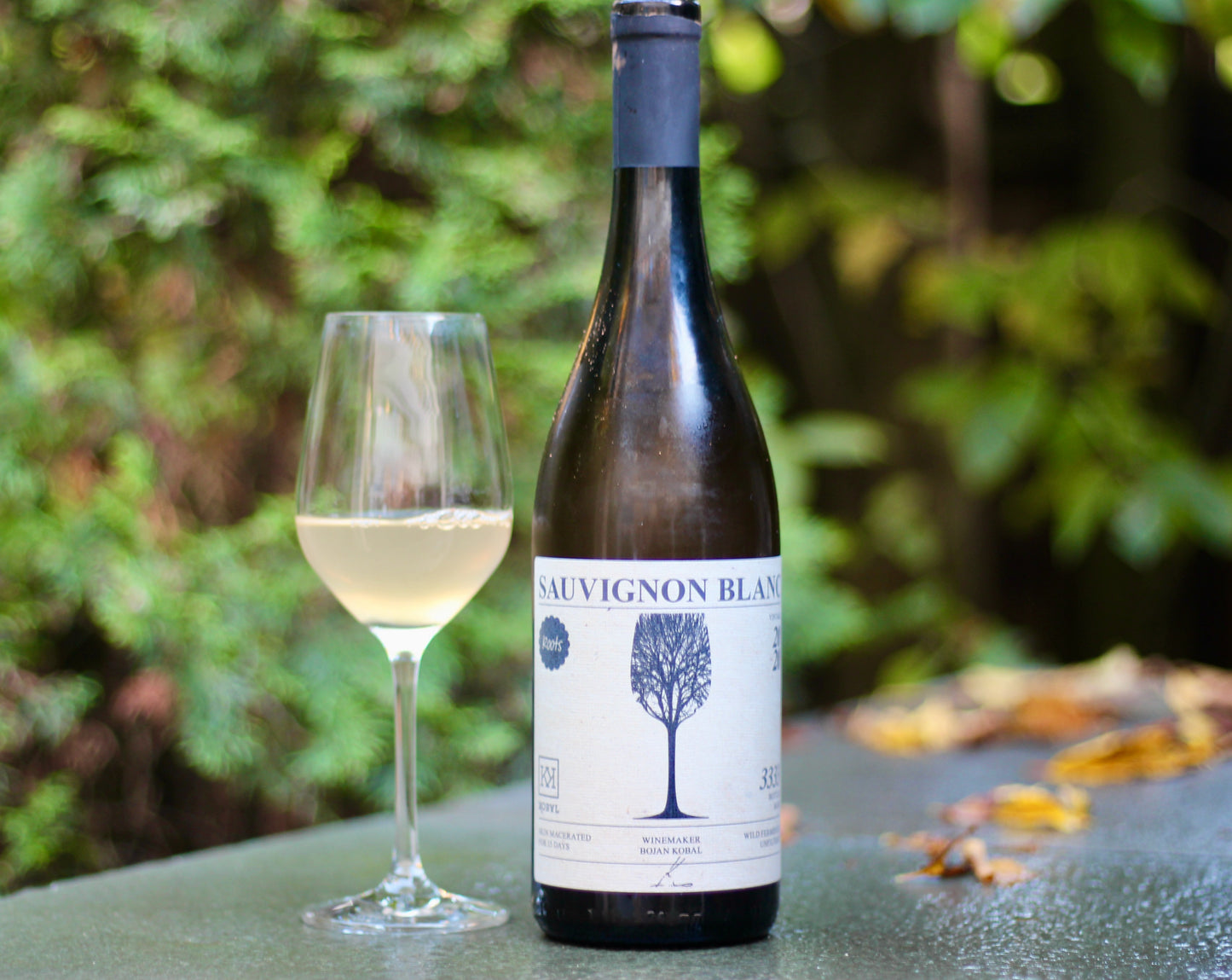 2020 Kobal Roots Sauvignon Blanc