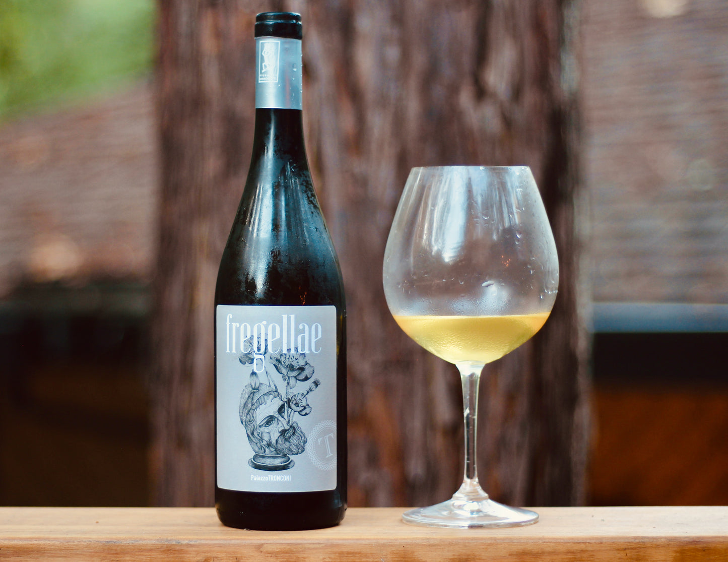 2019 Palazzo Tronconi 'Fregellae' Frusinate IGP