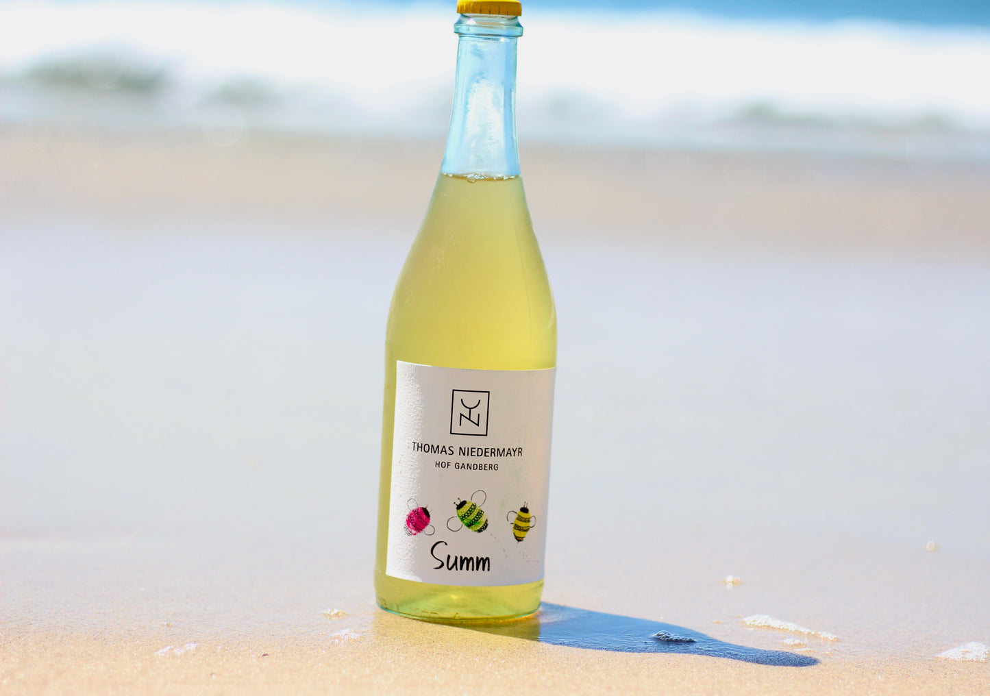 2020 Thomas Niedermayr 'Summ'