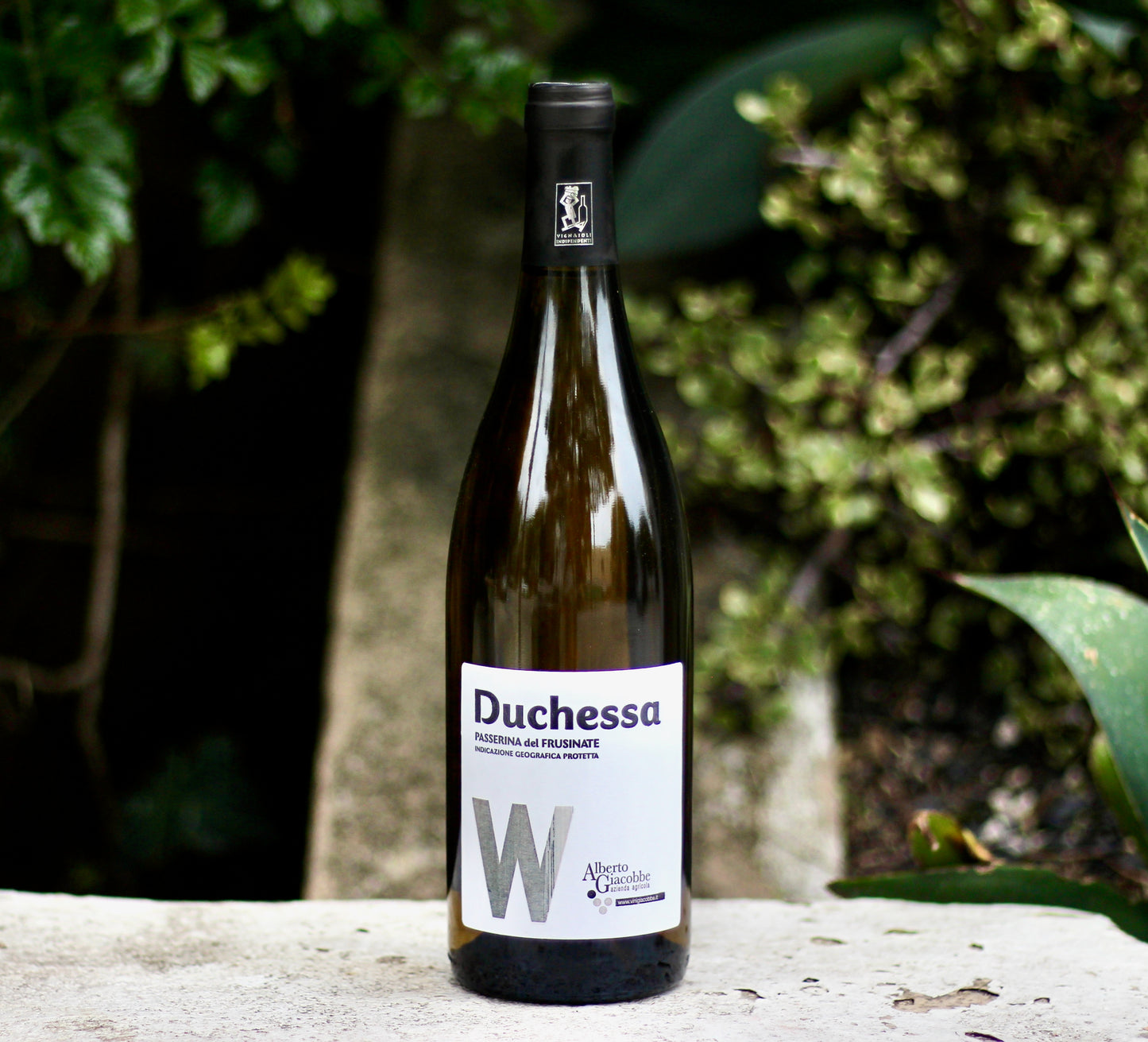 2021 Alberto Giacobbe Passerina del Frusinate IGP ‘Duchessa’