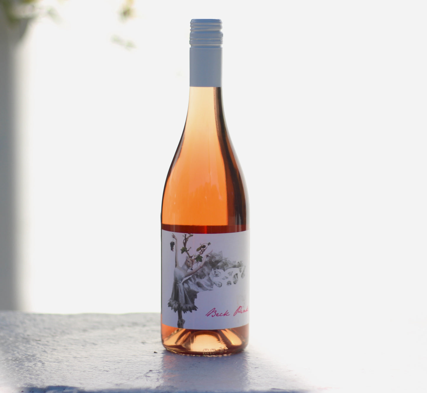 2021 Judith Beck 'Pink' Burgenland Rosé