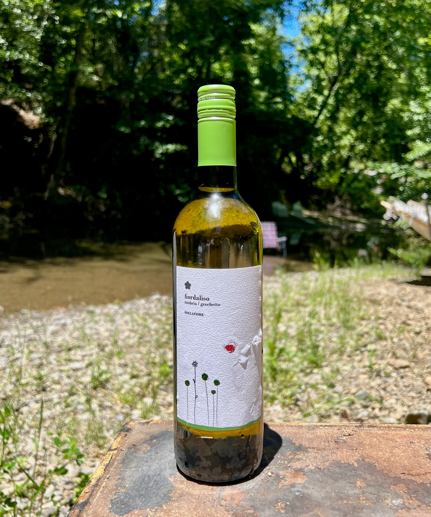 2021 Roccafiore Grechetto ‘Fiordaliso’ - Rock Juice Inc