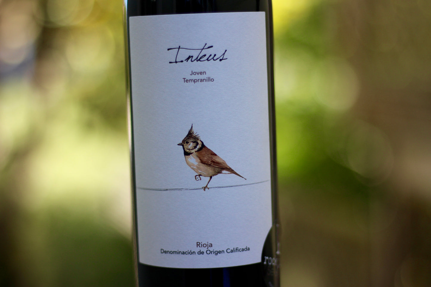 2015 Bodega y Viñedos 'Inteus’ Joven Tempranillo - Rock Juice Inc