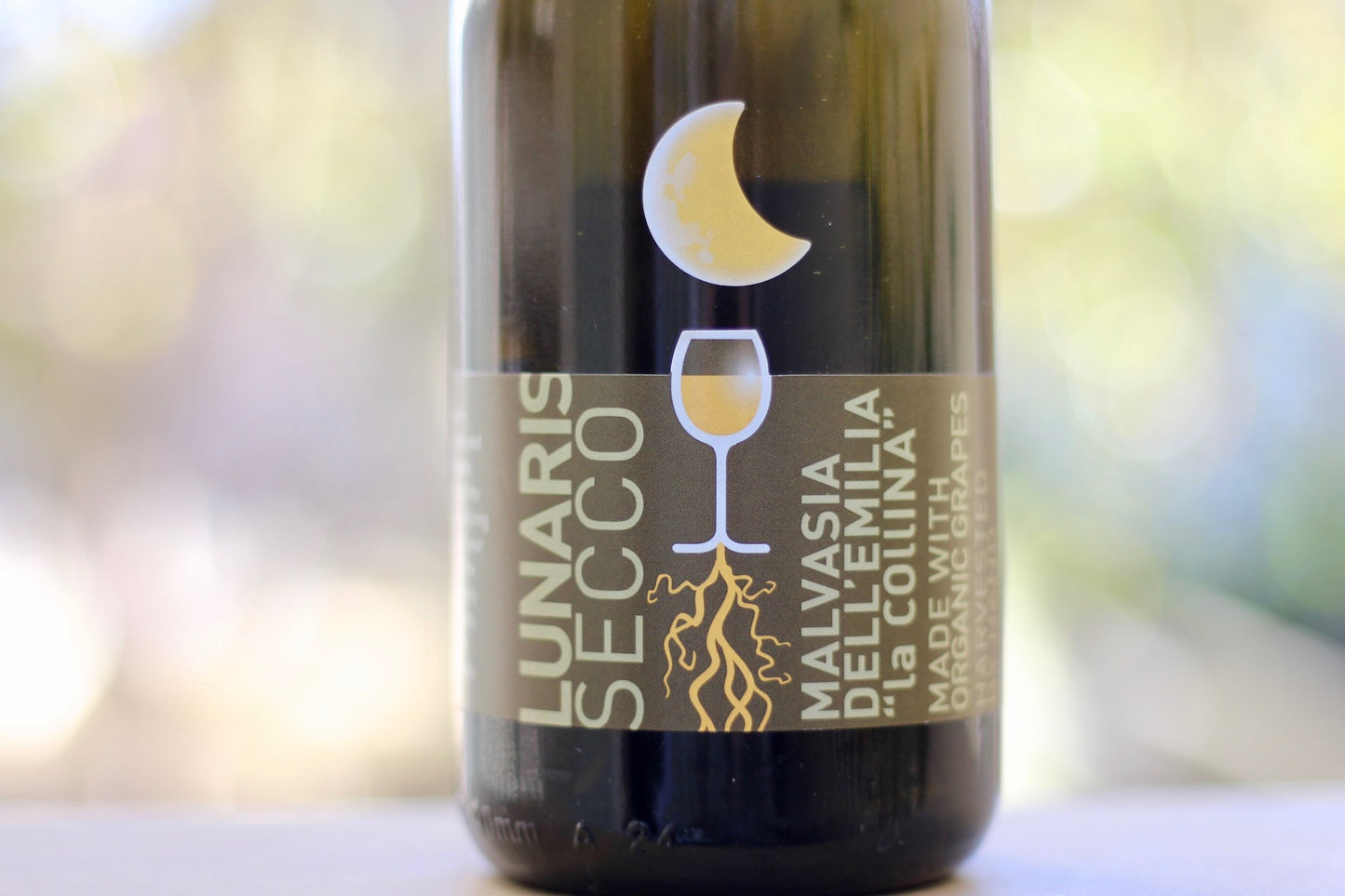 2016 La Collina Lunaris Secco Malvasia Pet'Nat - Rock Juice Inc