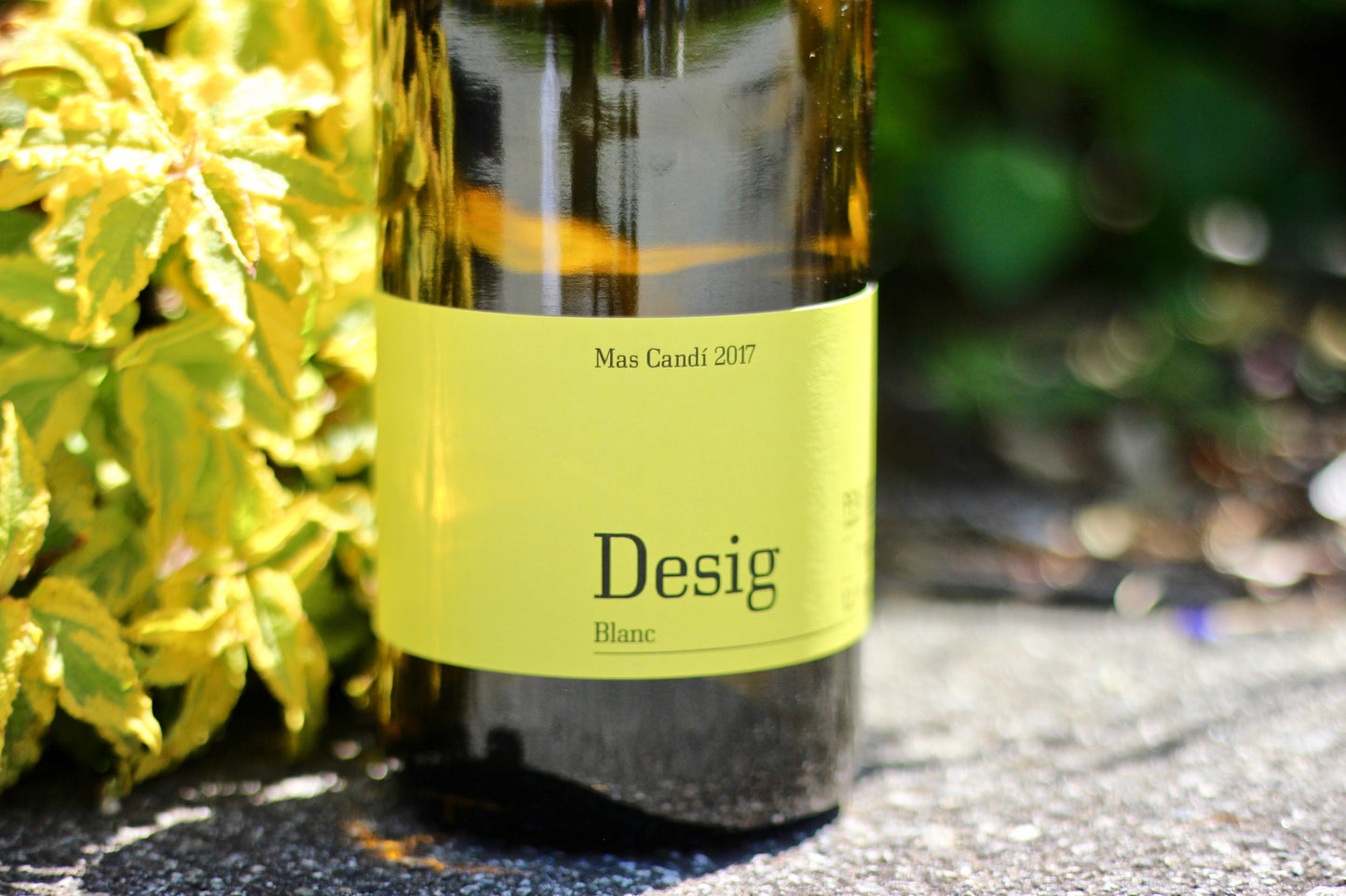 2017 Mas Candi Xarel-lo 'Desig' - Rock Juice Inc