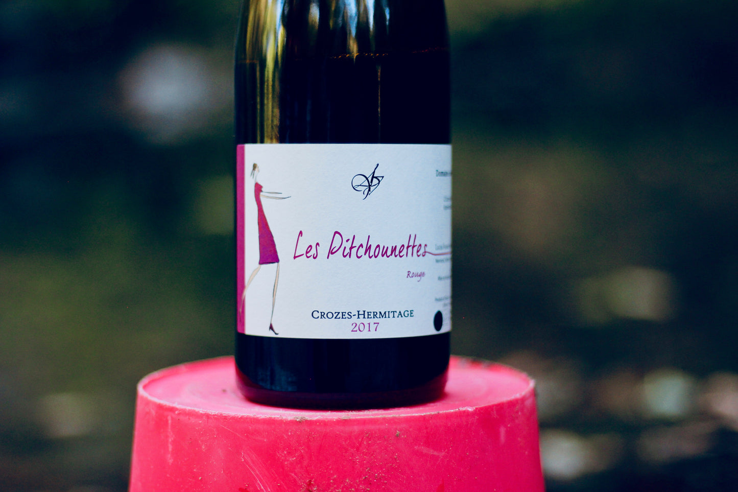 2017 Domaine Les 4 Vents ‘Les Pitchounettes’ Rouge - Rock Juice Inc
