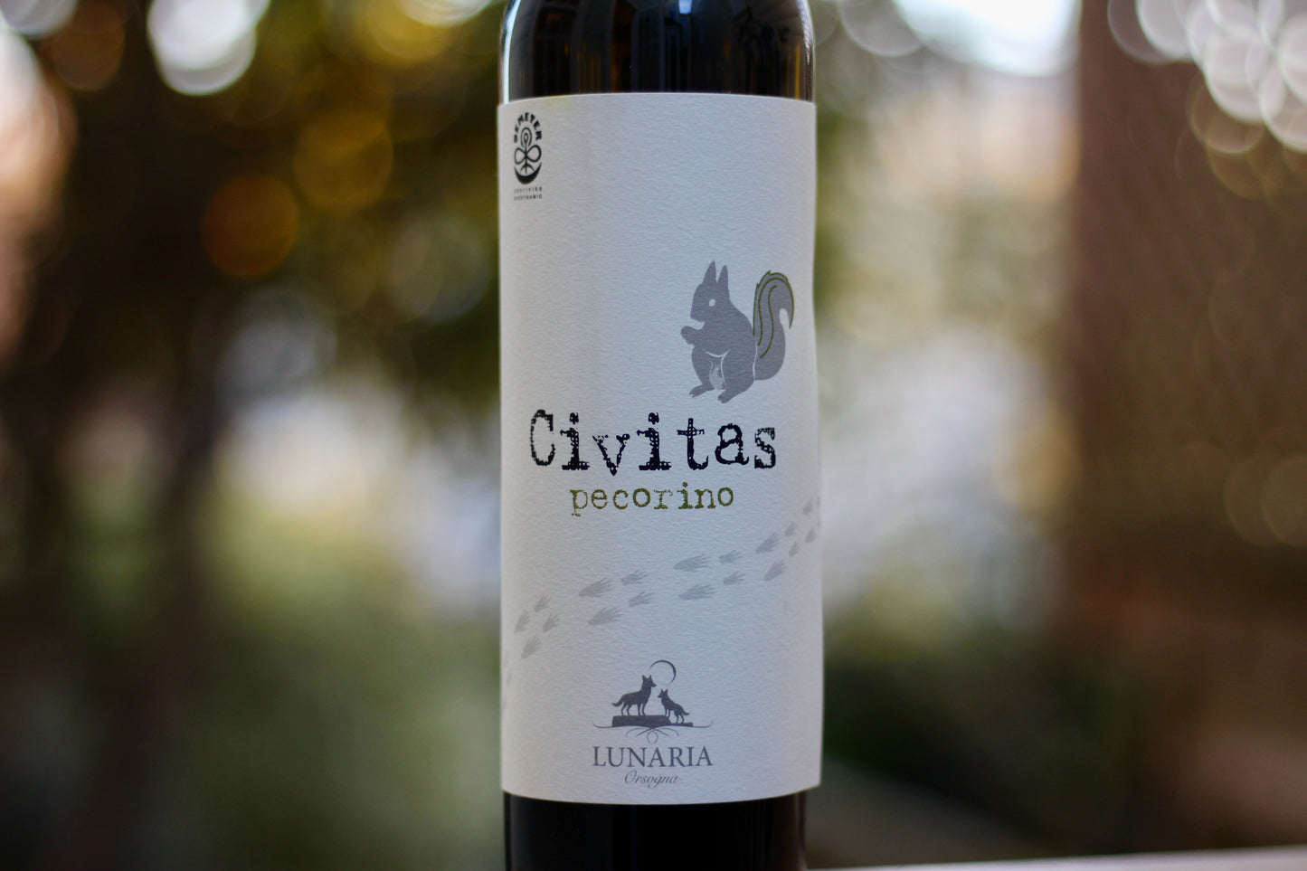 2018 Cantina Orsogna 'Civitas' Pecorino - Rock Juice Inc