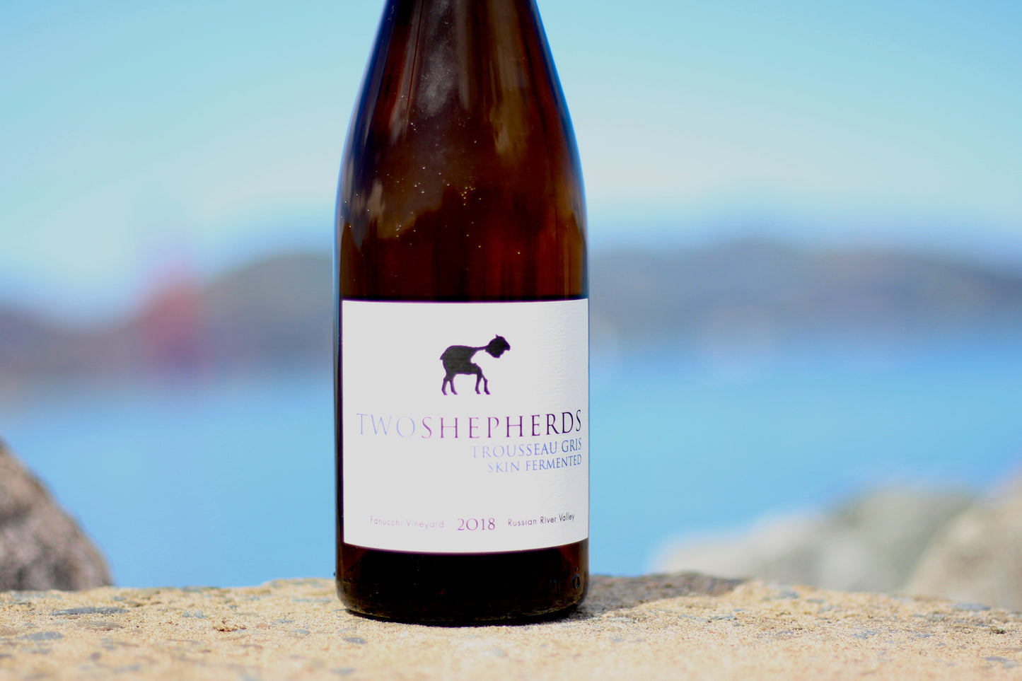 2018 Two Shepherds Trousseau Gris - Rock Juice Inc