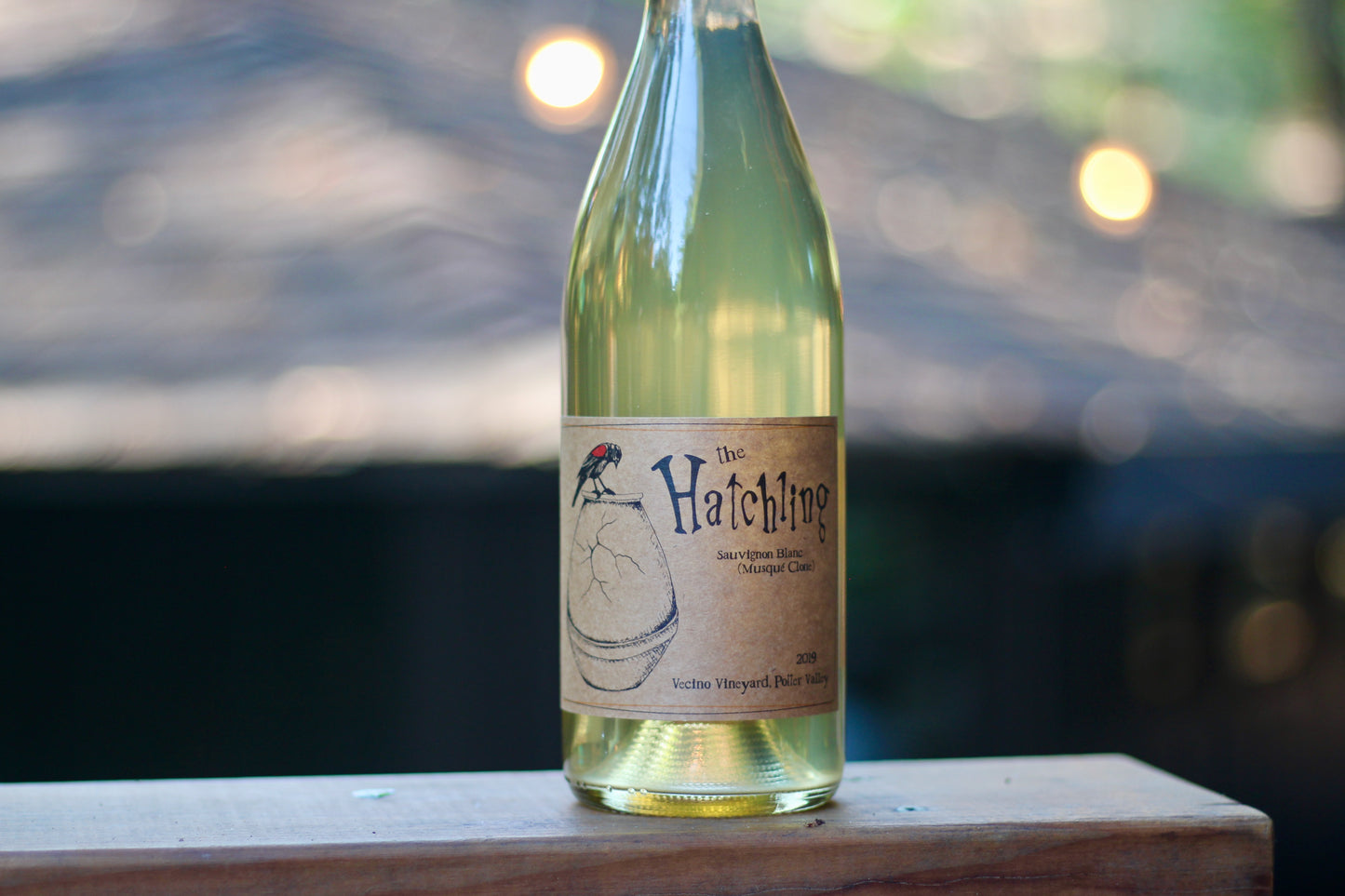 2019 Unturned Stone 'The Hatchling' Vecino Vineyard Potter Valley - Rock Juice Inc