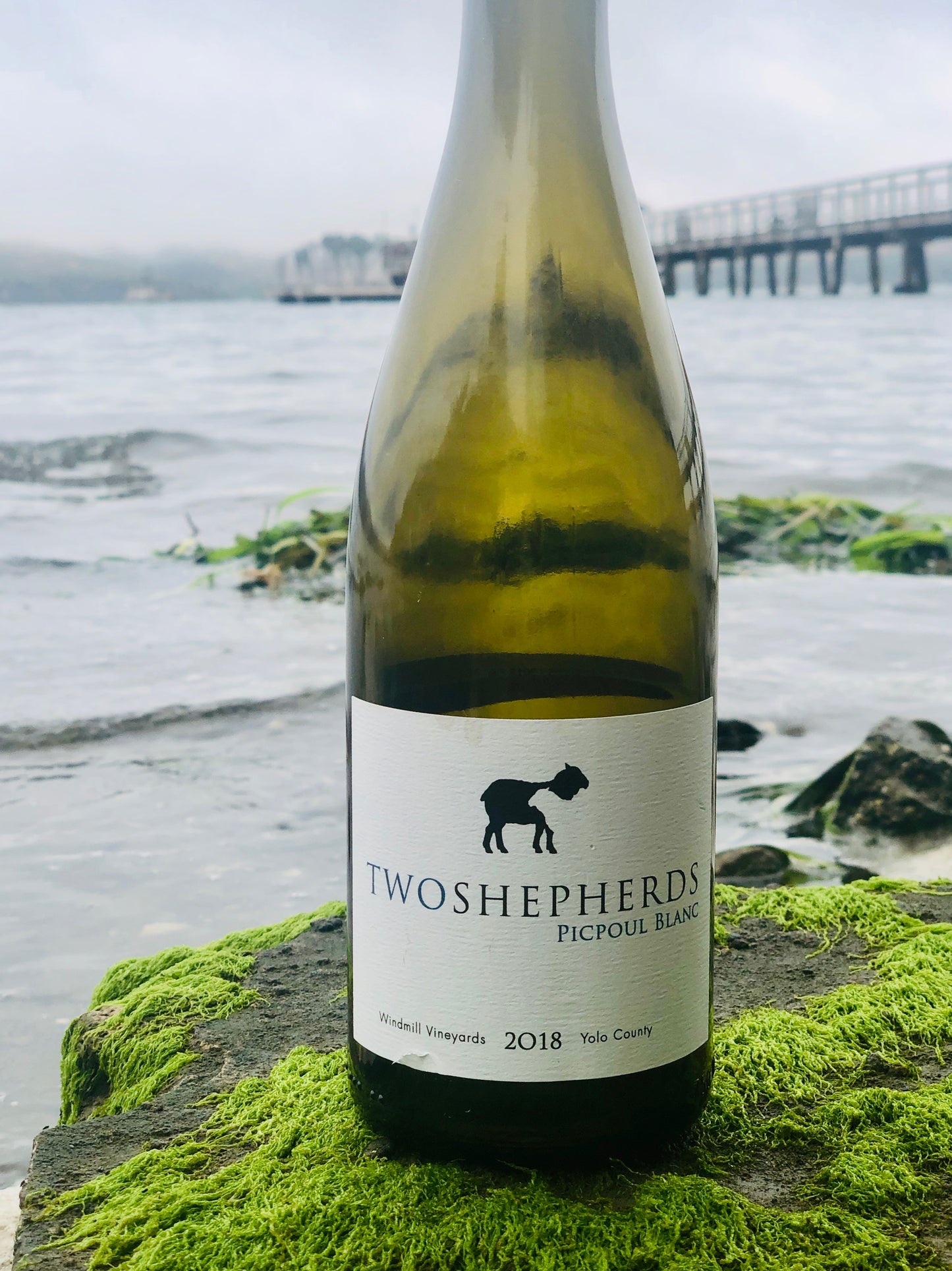 2018 Two Shepherds Picpoul Blanc, Windmill Vineyard - Rock Juice Inc