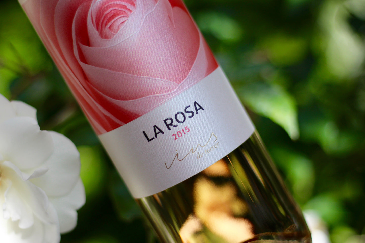 2015 Raventós i Blanc Vins de Terrer, ‘La Rosa’ - Rock Juice Inc