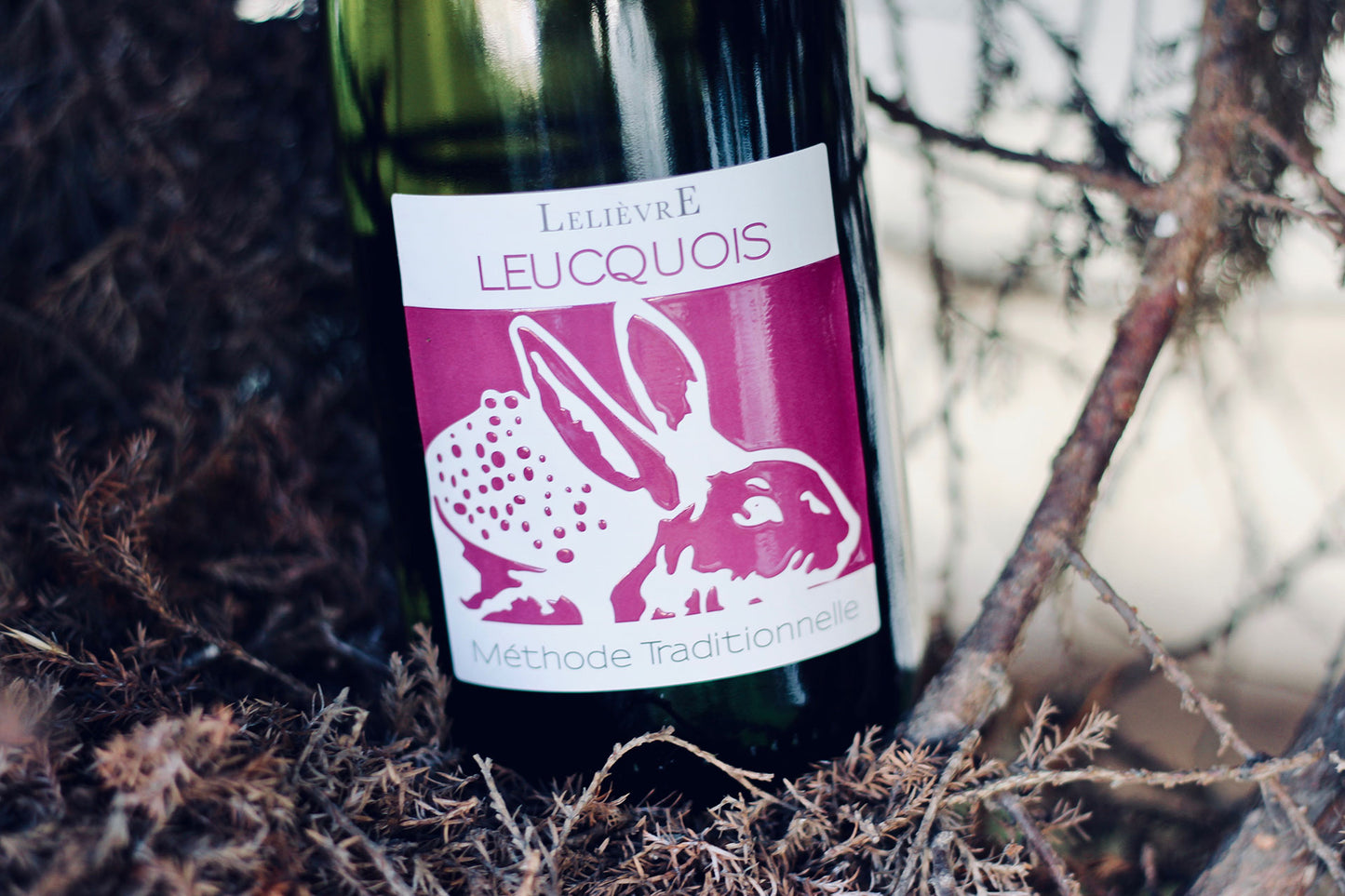 NV Domaine Lelievre Leucquois Methode Traditionelle - Rock Juice Inc