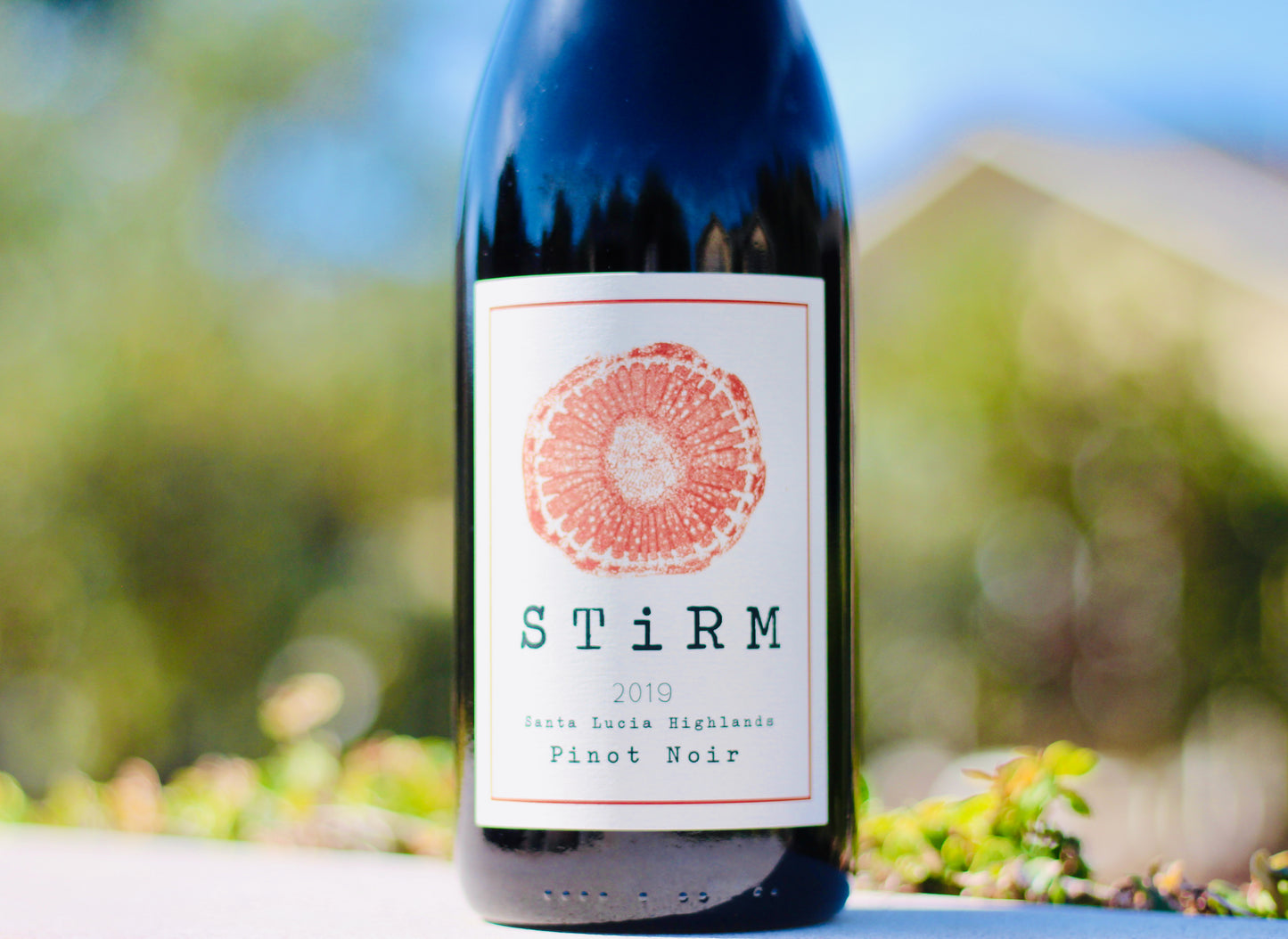 2019 Ryan Stirm Santa Lucia Highlands Pinot Noir