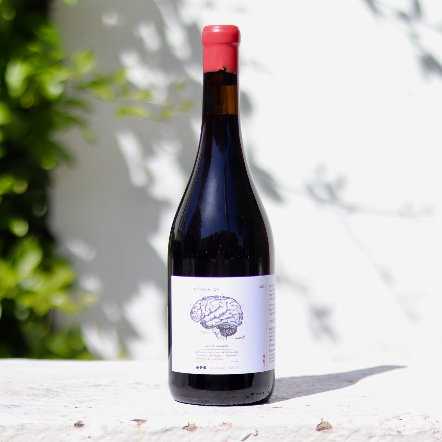 2022 Finca Mas Perdut Cervell de Mas Perdut