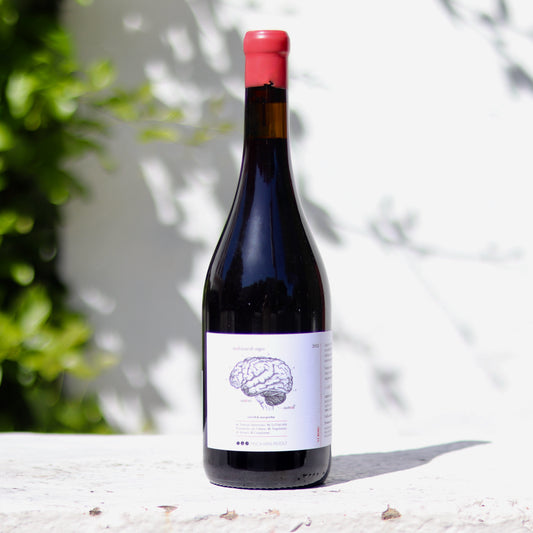 2022 Finca Mas Perdut Cervell de Mas Perdut