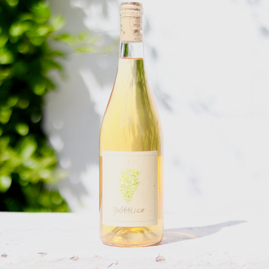 2024 Bojo do Luar Doralice