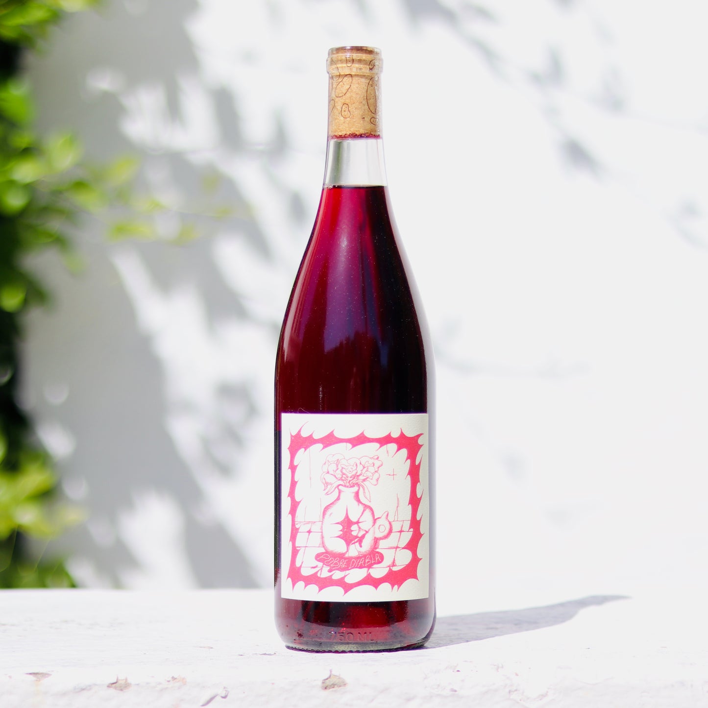 2024 Vinos Pijoan ‘Pobre Diabla’